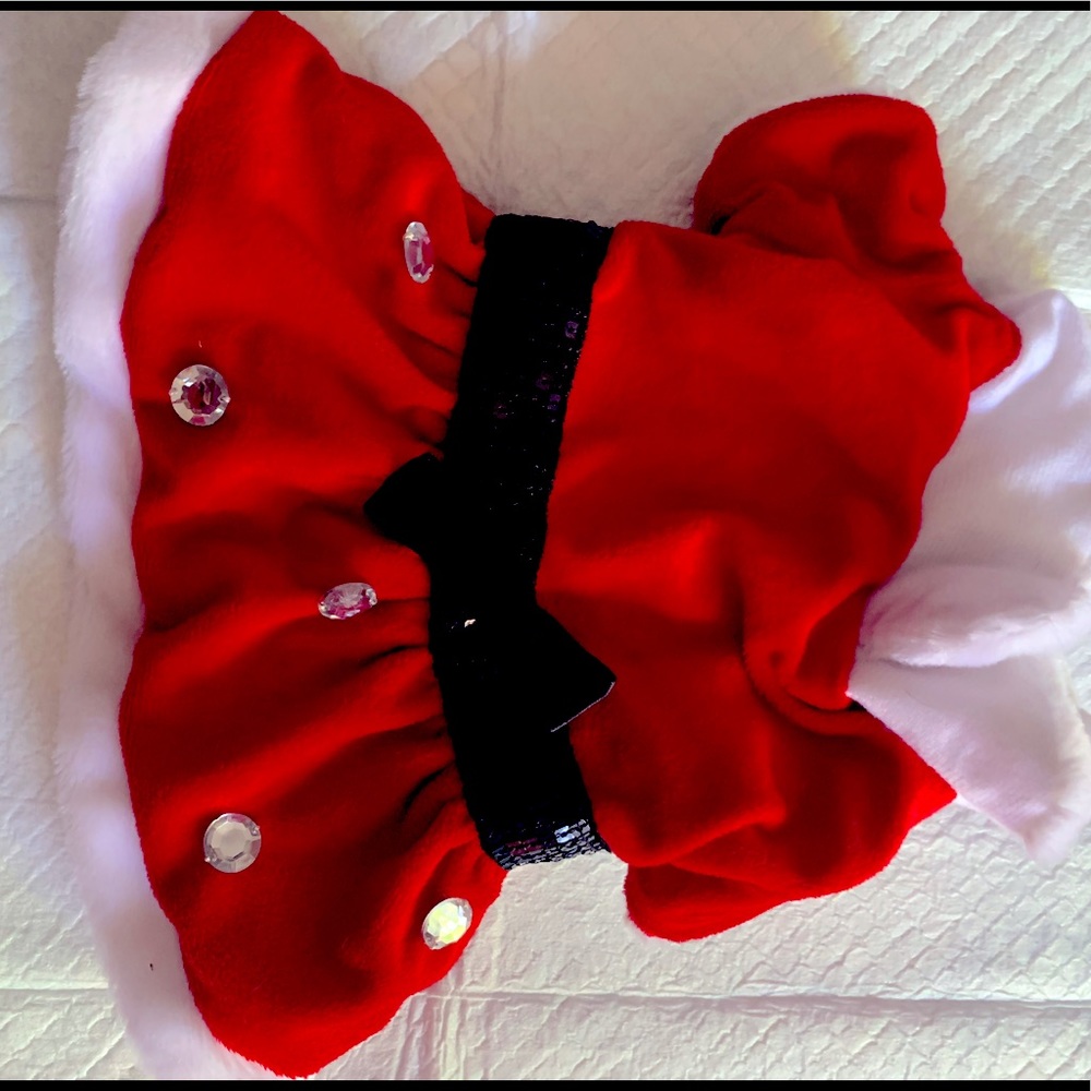 Doggie Santa Dress